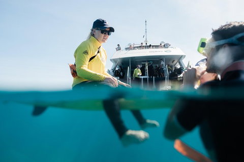 Full Day Snorkel In The Great Barrier Reef - Accommodation Resorts 7