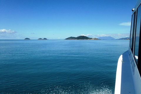 Fozzy\'s 3 Hour, 3 Island Tour - Accommodation Resorts 7
