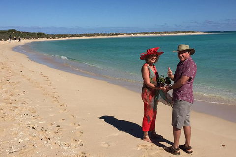 Elope In Paradise - Weddings At Mission Beach - Accommodation Resorts 6