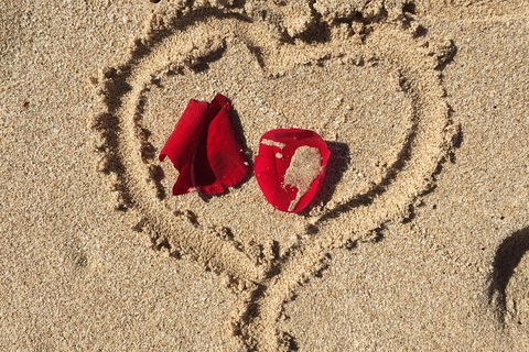 Elope In Paradise - Weddings At Mission Beach - Accommodation Resorts 3