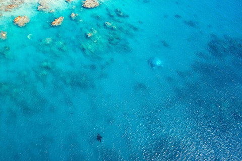 Premium Private Charter - Accommodation Resorts 5