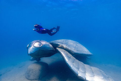 Premium Private Charter - Accommodation Resorts 9
