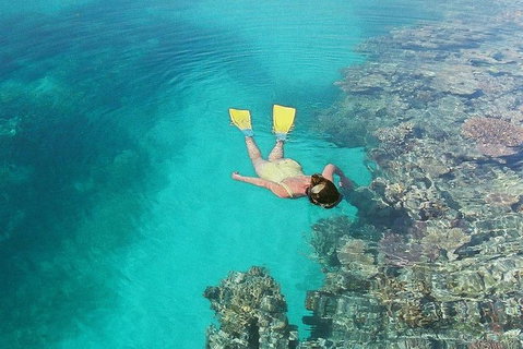 Great Barrier Reef Private Expedition Cruise (min 4 Day Max 8 Guests) - Accommodation Resorts 6