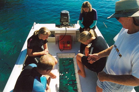 Great Barrier Reef Private Expedition Cruise (min 4 Day Max 8 Guests) - Accommodation Resorts 1