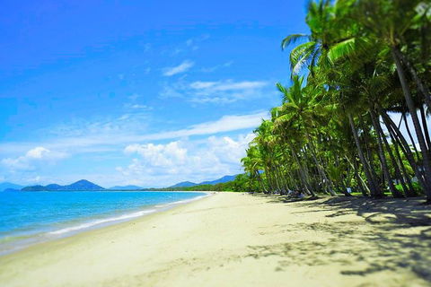 Airport Transfer - Palm Cove, Kewarra Beach & Trinity Beach To Cairns Airport - Accommodation Resorts 2