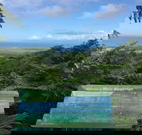 Daintree Luxury Limousine Tour - Full Day - Accommodation Resorts