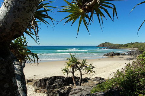 Fingal Head Learn-to-Surf Day Trip From The Gold Coast Or Byron Bay - Accommodation Resorts 4