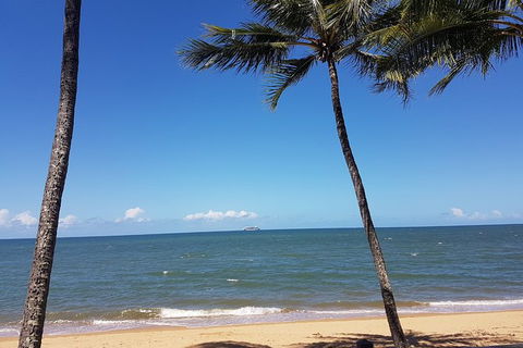Private Transfers - Cairns Airport To Palm Cove - Accommodation Resorts 8