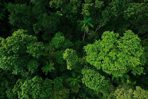 Cairns & Port Douglas All-Inclusive 7 Days Touring Package - Accommodation Resorts 3