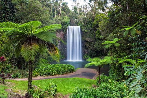 Cairns & Port Douglas All-Inclusive 7 Days Touring Package - Accommodation Resorts 5