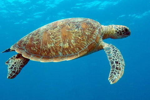 Cairns & Port Douglas All-Inclusive 7 Days Touring Package - Accommodation Resorts 1