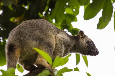 Cairns & Port Douglas All-Inclusive 7 Days Touring Package - Accommodation Resorts 8