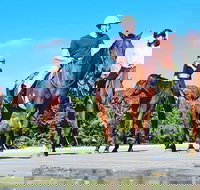 Mid-Morning Beach Horse Ride in Cape Tribulation with Pick Up - Accommodation Resorts