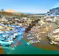 Explore Townsville 7 Hour Guided River Mountain and City Tour - Accommodation Resorts