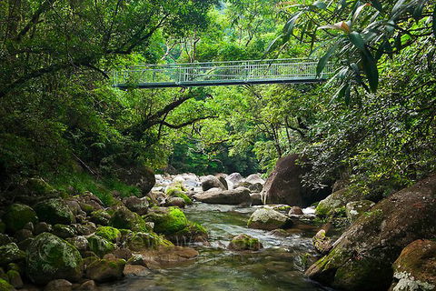 SHUTTLE - Mossman Gorge & Cooya Beach From Port Douglas (Return Transfer) - Accommodation Resorts 4