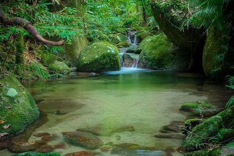 SHUTTLE - Mossman Gorge & Cooya Beach From Port Douglas (Return Transfer) - Accommodation Resorts 2