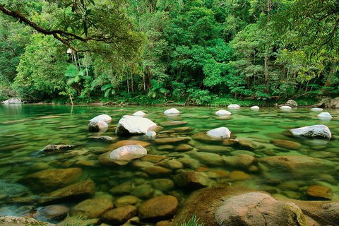 SHUTTLE - Mossman Gorge & Cooya Beach From Port Douglas (Return Transfer) - Accommodation Resorts 3