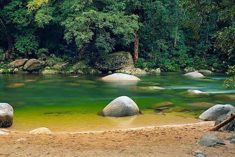 SHUTTLE - Mossman Gorge & Cooya Beach From Port Douglas (Return Transfer) - Accommodation Resorts 1
