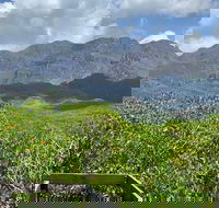 Hinchinbrook Island Tour - Accommodation Resorts