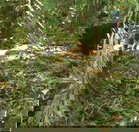 Small-Group Trekking Experience in Daintree National Park - Accommodation Resorts