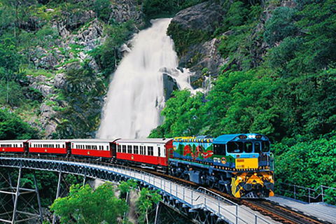 Day Tour To Kuranda, Rainforest And Port Douglas With Flight - Accommodation Resorts 4