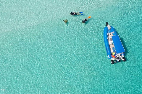 Remote Fraser Island & Whale Experience - Accommodation Resorts 0
