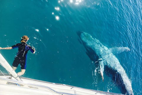 Remote Fraser Island & Whale Experience - Accommodation Resorts 4