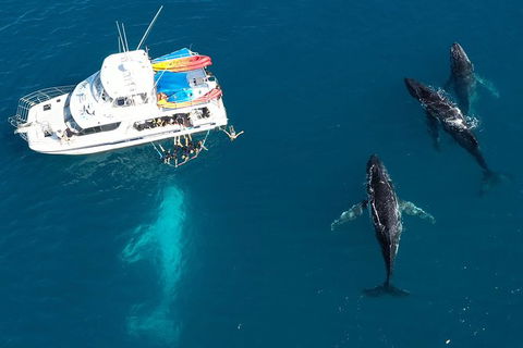 Remote Fraser Island & Whale Experience - Accommodation Resorts 3