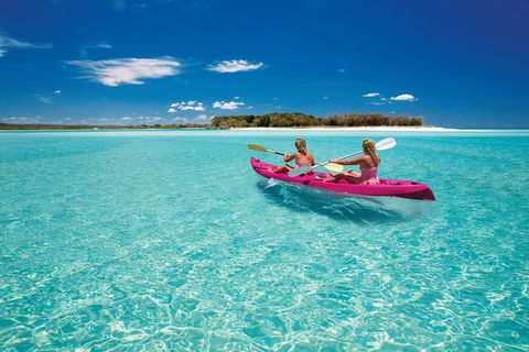 Remote Fraser Island & Whale Experience - Accommodation Resorts 5