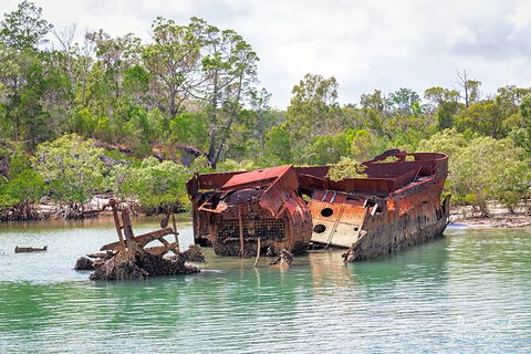 Sandy Straits Scenic & Wildlife Cruise - Accommodation Resorts 9