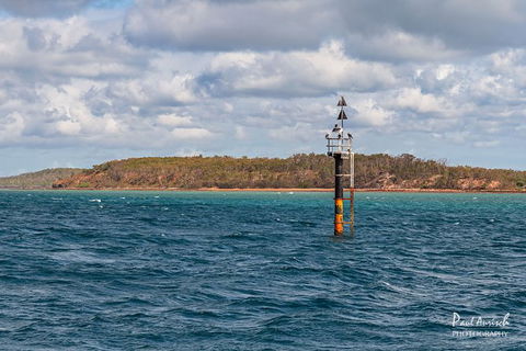 Sandy Straits Scenic & Wildlife Cruise - Accommodation Resorts 6