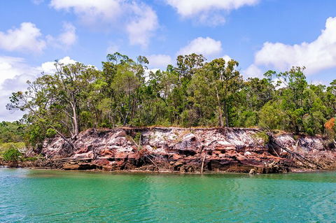 Sandy Straits Scenic & Wildlife Cruise - Accommodation Resorts 2