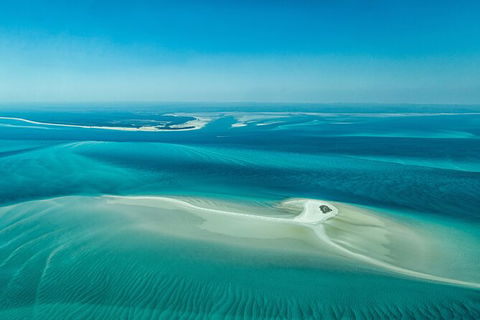 Sandy Straits Scenic & Wildlife Cruise - Accommodation Resorts 5
