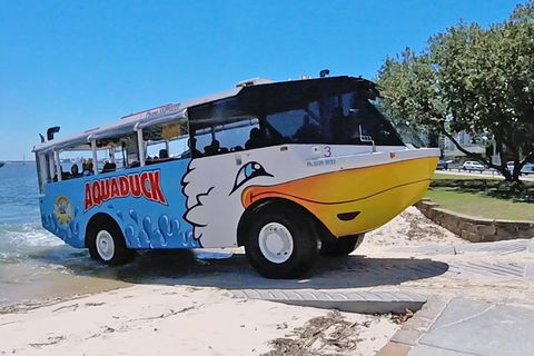 Aquaduck Gold Coast & IFLY - Accommodation Resorts 0