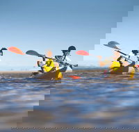 Kangaroo Island Self-Guided Kayaking on the Harriet River - Accommodation Resorts