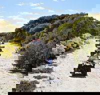 Quad Bike ATV Tours - Accommodation Resorts