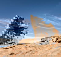 Kangaroo Island Luxury Small Group 'Flinders Chase Focus' Full Day Tour - Accommodation Resorts