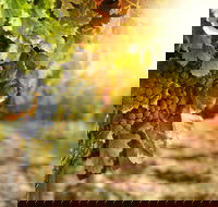 Kangaroo Island Half Day Food and Wine Trail Tour - Accommodation Resorts