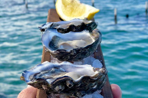 Coffin Bay Oysters, Ocean & Nature Tour - Accommodation Resorts 0