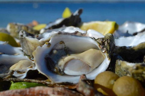 Coffin Bay Oysters, Ocean & Nature Tour - Accommodation Resorts 8