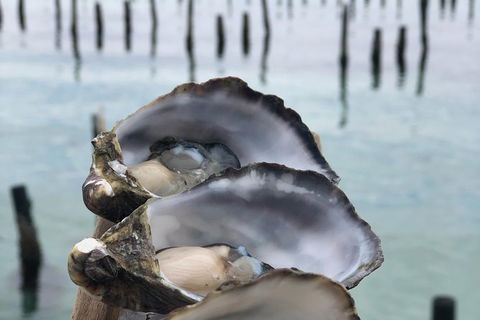Coffin Bay Oysters, Ocean & Nature Tour - Accommodation Resorts 6