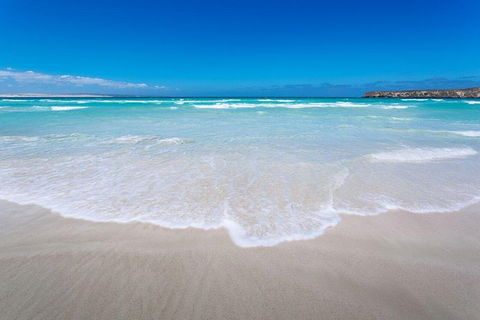 Coffin Bay Oysters, Ocean & Nature Tour - Accommodation Resorts 14