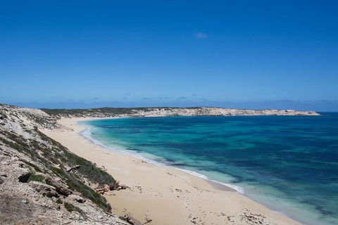 Coffin Bay Oysters, Ocean & Nature Tour - Accommodation Resorts 16