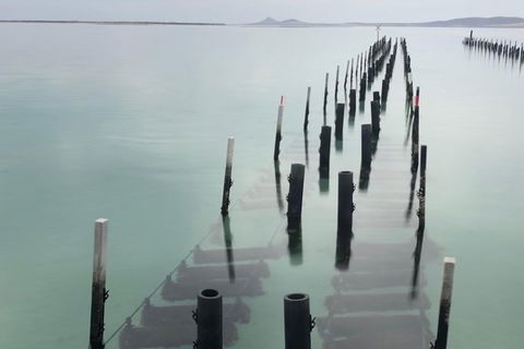 Coffin Bay Oysters, Ocean & Nature Tour - Accommodation Resorts 15