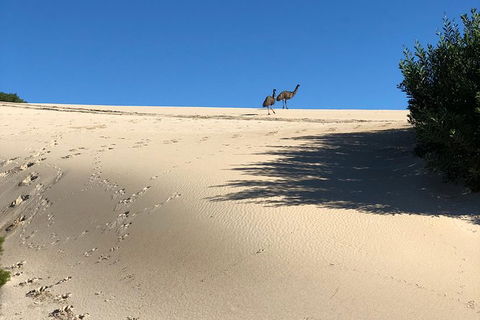 Coffin Bay Oysters, Ocean & Nature Tour - Accommodation Resorts 4