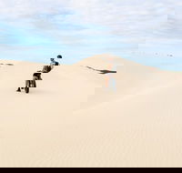 Kangaroo Island 2 Hour Bike Tour - Accommodation Resorts