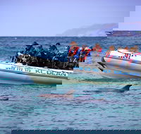 Kangaroo Island 75-Minute Ocean Safari - Accommodation Resorts