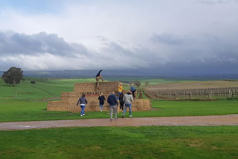 Private Wine Tour - Accommodation Resorts 4