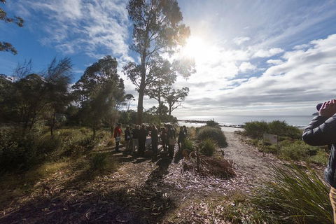 Bruny Island Day Tour, Includes Lunch And Exclusive Lighthouse Tour - Accommodation Resorts 15