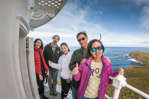 Bruny Island Day Tour, Includes Lunch And Exclusive Lighthouse Tour - Accommodation Resorts 10